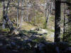 Predigstuhl - Bad Goisern - Sarstein.at