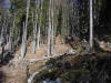 Predigstuhl - Bad Goisern - Sarstein.at